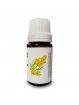 Aceite Fragancia de Mimosa x 11ml | Chakra Profesional