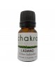 Aceite Esencial de Ládano x 11ml | Chakra Profesional