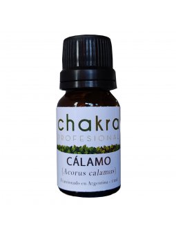 Aceite Terapéutico de Cálamo x 11ml | Chakra Profesional