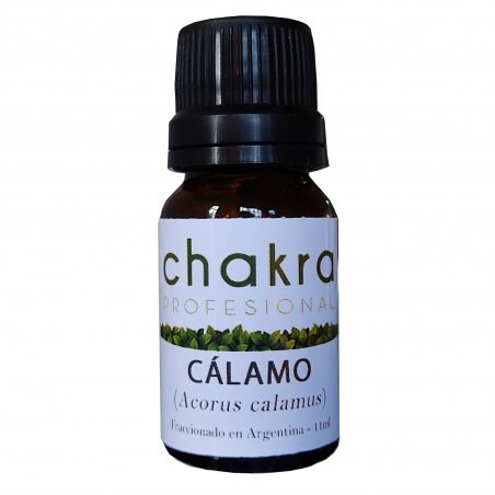 Aceite Terapéutico de Cálamo x 11ml | Chakra Profesional