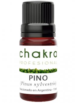 Aceite Esencial de Pino x 11ml | Chakra Profesional