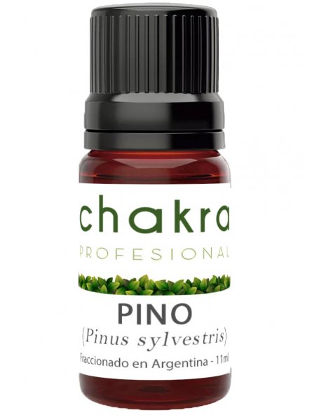 Aceite Esencial de Pino x 11ml | Chakra Profesional