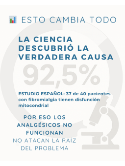 fibromialgia: ayuda a la recuperación muscular y reduce la fatiga crónica mediante regeneración celular