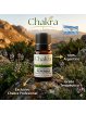 Aceite Esencial de Peperina — La joya aromática de las sierras argentinas