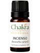 Aceite Esencial de Incienso x 11ml | Chakra Profesional
