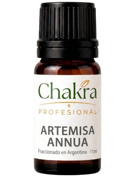 Aceite Terapéutico de Artemisa Annua x 11ml | Chakra Profesional