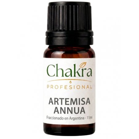 Aceite Terapéutico de Artemisa Annua x 11ml | Chakra Profesional