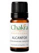 Aceite Esencial de Alcanfor x 11ml | Chakra Profesional
