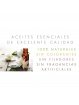 Aceite Fragancia de Vainilla x 11ml | Chakra Profesional