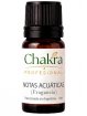 Aceite Fragancia de Notas Acuaticas x 11ml by Chakra Profesional