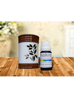 Aromatizador Energía Positiva x 11ml