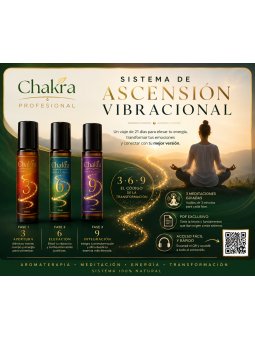SISTEMA DE ASCENSIÓN VIBRACIONAL - HAWKINS, TESLA