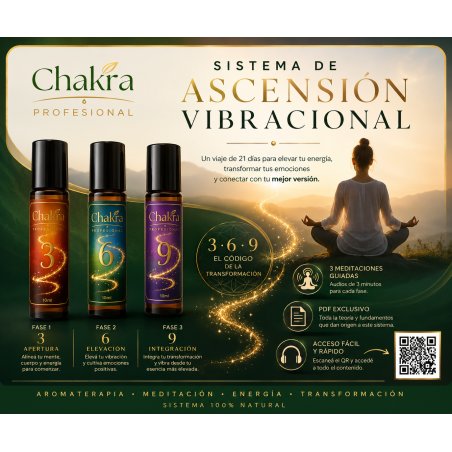 SISTEMA DE ASCENSIÓN VIBRACIONAL - HAWKINS, TESLA