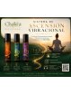 SISTEMA DE ASCENSIÓN VIBRACIONAL - HAWKINS, TESLA