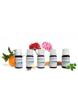 Kit Perfumista Auxiliar