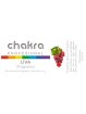Aceite Fragancia de Miel x 11ml | Chakra Profesional