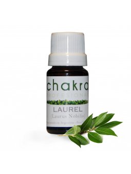 Aceite Esencial de Laurel x 11ml | Chakra Profesional
