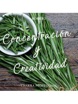 Aceite Esencial de Romero x 10ml