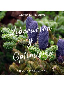 Aceite Esencial de Abeto Balsámico x 10ml | Chakra Profesional