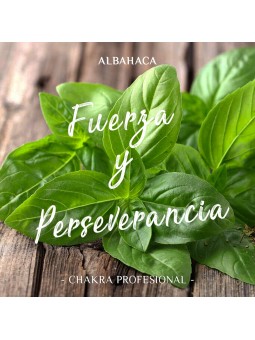 Aceite Esencial de Albahaca x 10ml