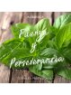 Aceite Esencial de Albahaca x 10ml | Chakra Profesional