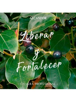 Aceite Esencial de Alcanfor x 10ml