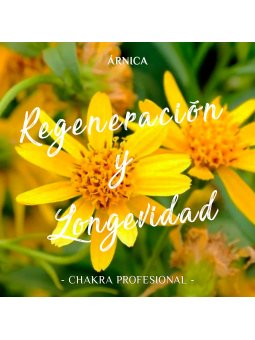 Aceite Esencial de Árnica x 10ml | Chakra Profesional