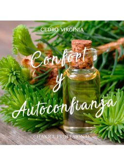 Aceite Esencial de Cedro Virgínia x 11ml | Chakra Profesional