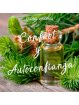 Aceite Esencial de Cedro Virgínia x 11ml | Chakra Profesional