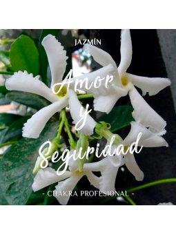Aceite Semi Natural de Jazmín x 11ml | Chakra Profesional
