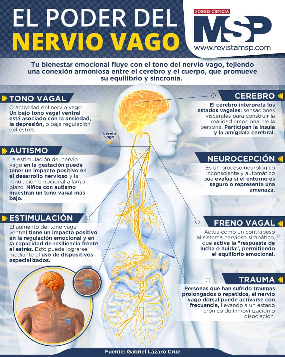 El poder del Nervio Vago — infografia
