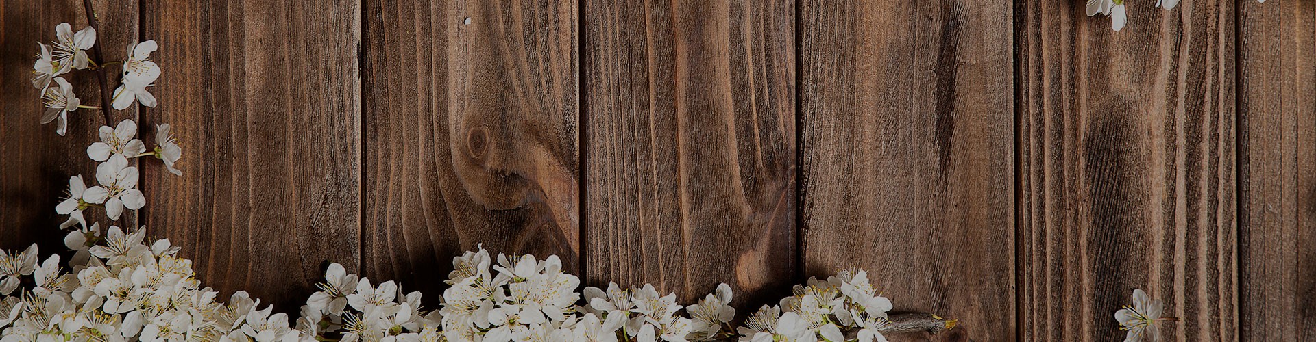 Bajate el Catalogo de Chakra Profesional!!!