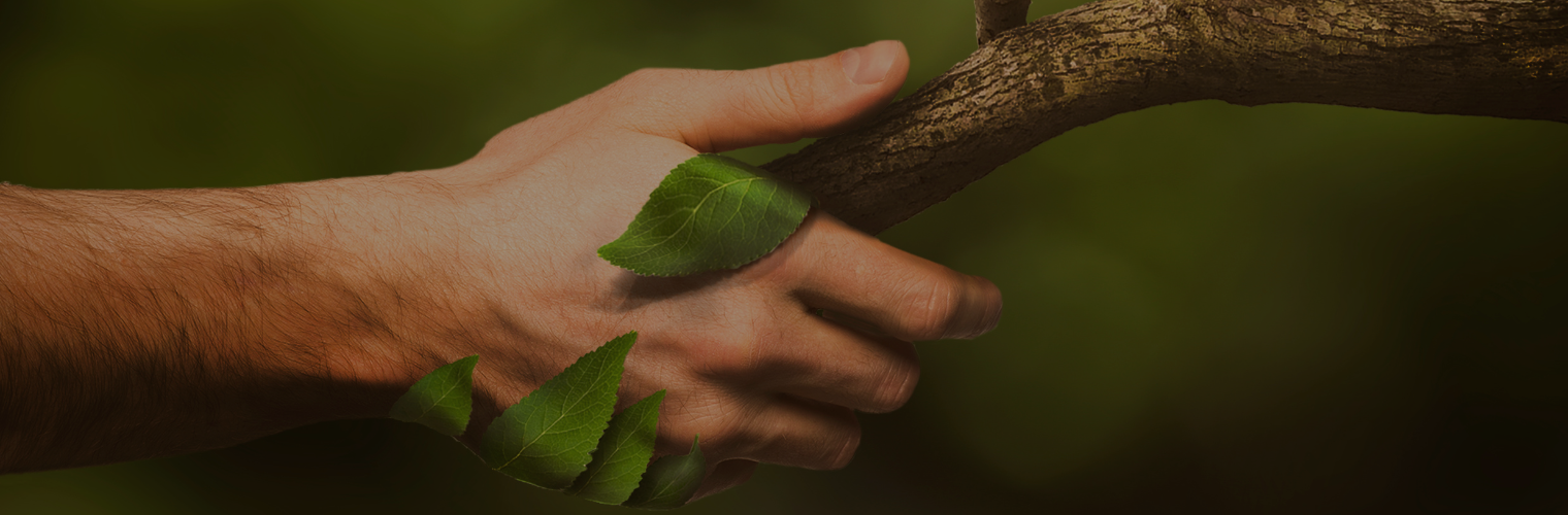 Ciencia + Naturaleza para tu Bienestar Integral